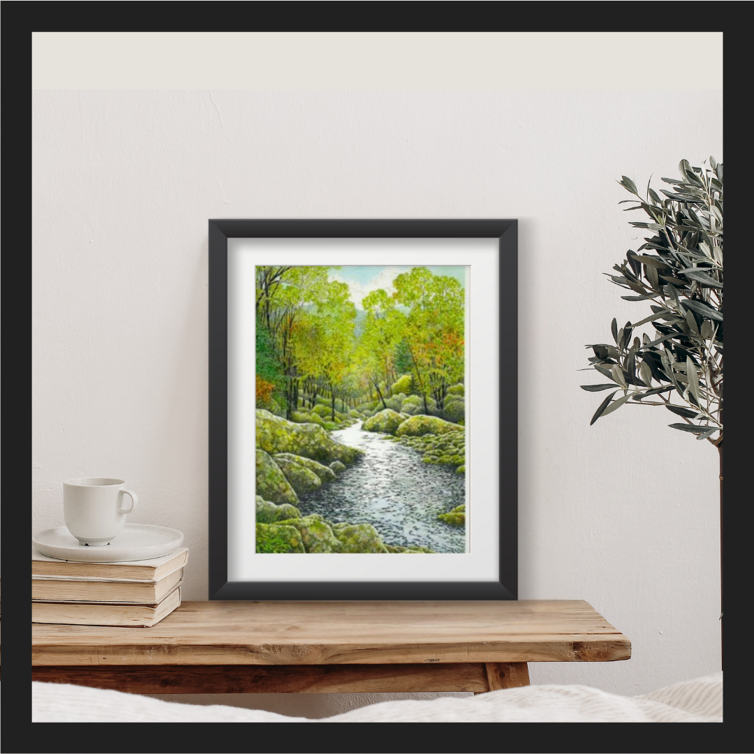 Autumn on Stony Creek