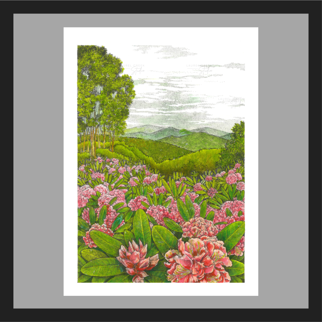 Carolina Mountain Rhododendron