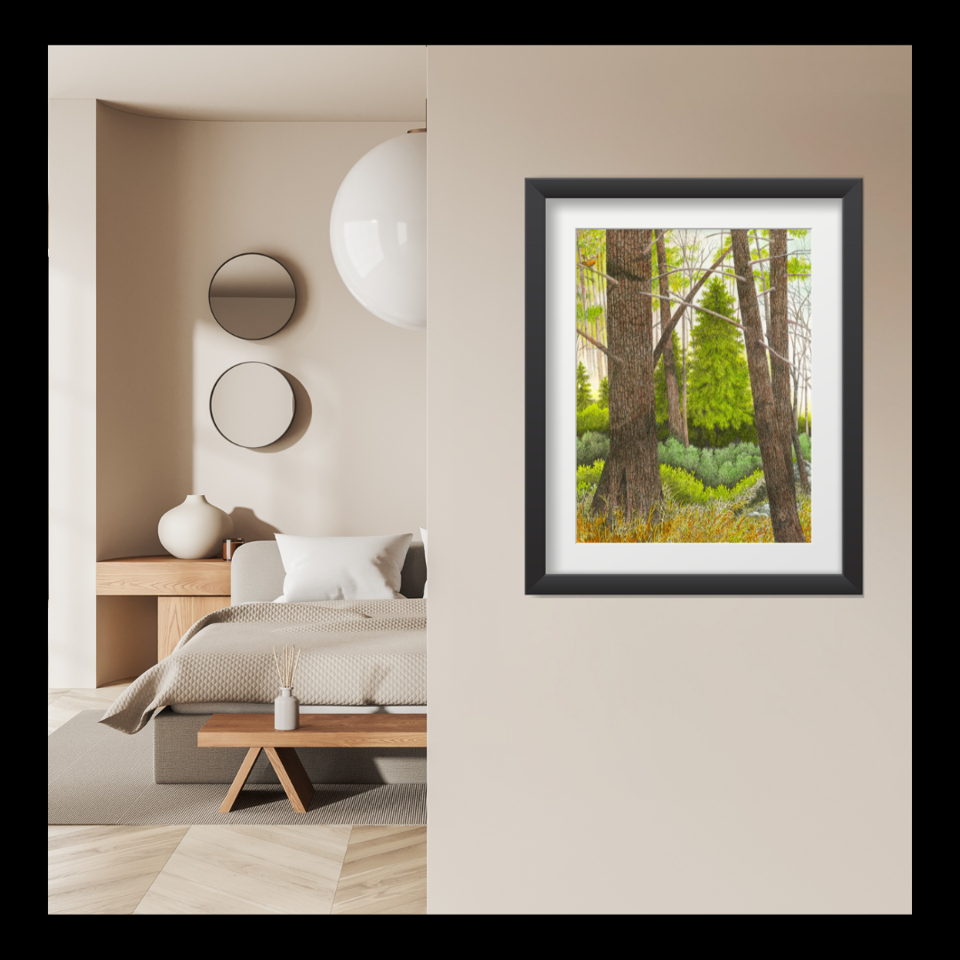 Deep in the Pine Forest