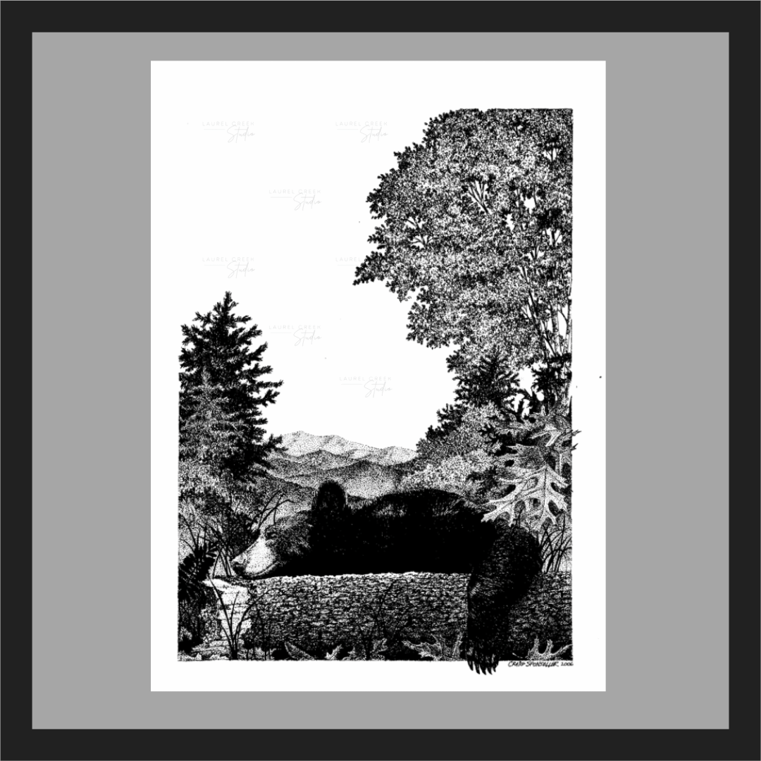 Lazy Day in the Blue Ridge