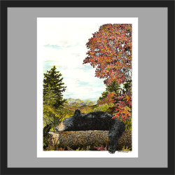 Lazy Day in the Blue Ridge