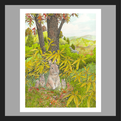 Bunnies Family Outing