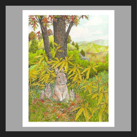 Bunnies Family Outing