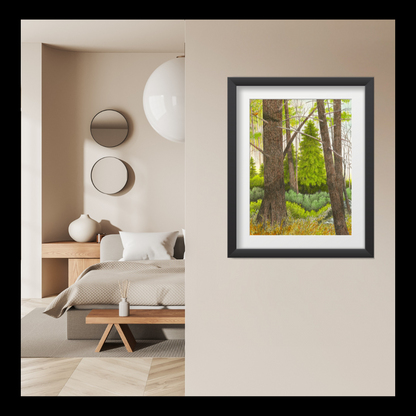 Deep in the Pine Forest