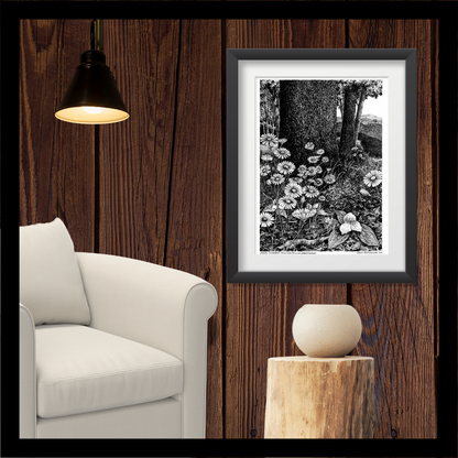 Large Flowered Trillium & Asters